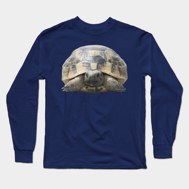 Greek Tortoise Testudo Tucked In Shell Cut Out Long Sleeve T-Shirt by taiche